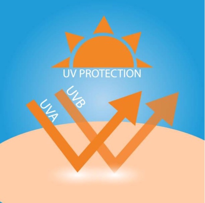 Chọn sản phẩm chống nắng có ghi dòng “Broad Spectrum” để có thể bảo vệ da trước tác hại của cả 2 tia UVA và UVB.
