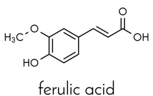 Ferulic Acid