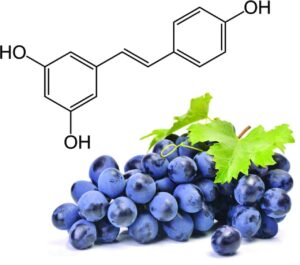 Resveratrol 