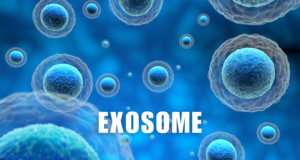 exosome