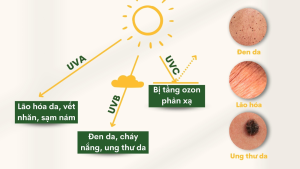 Tia UV gây hại cho làn da